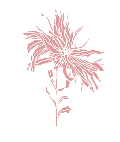 Розовая иллюстрация Flower Aster with leaves Art nouveau — стоковое фото