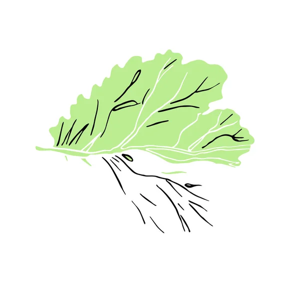 Ilustrasi tinta dekoratif daun hijau dengan garis-garis — Stok Foto