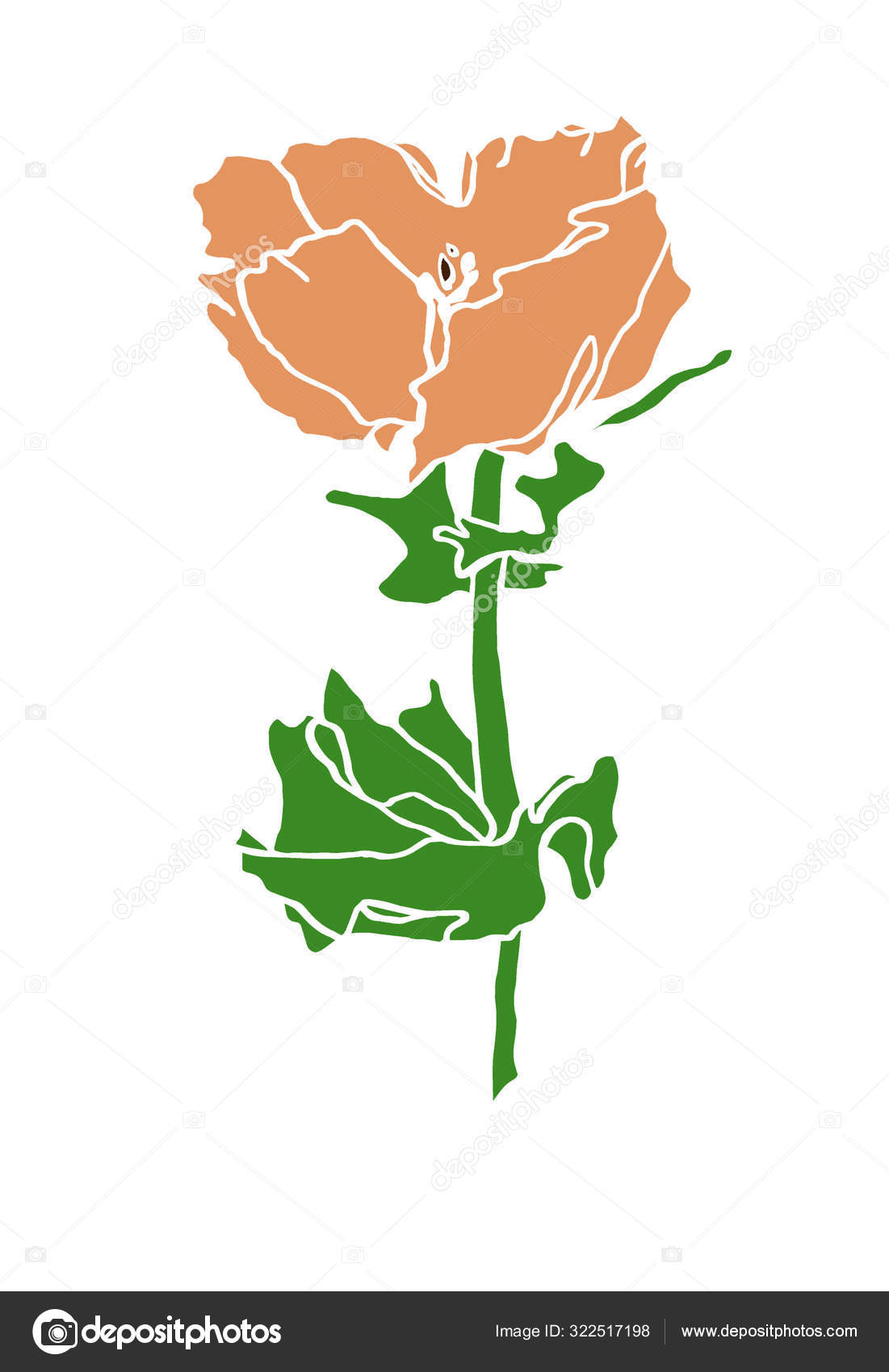 Decorative Ink Drawing Red Poppy Flower With Leaves Stock Photo Image By C Nanyasem Decorative Ink Drawing Red Poppy Flower With Leaves Stock Photo Image By C Nanyasem