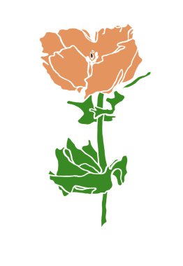 Süslü mürekkep yapraklı kırmızı gelincik çiçeği çiziyor.