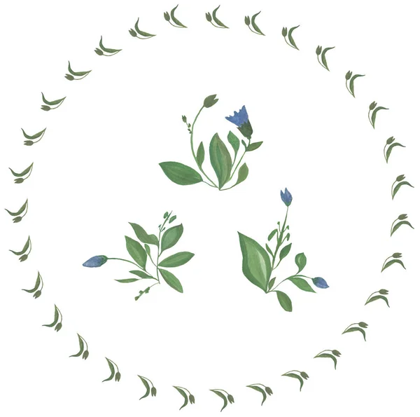 Υδατογραφία διακοσμητικό στρογγυλό πράσινο στεφάνι πλαίσιο με μπλε άγριο λουλούδι. Floral στοιχεία — Φωτογραφία Αρχείου