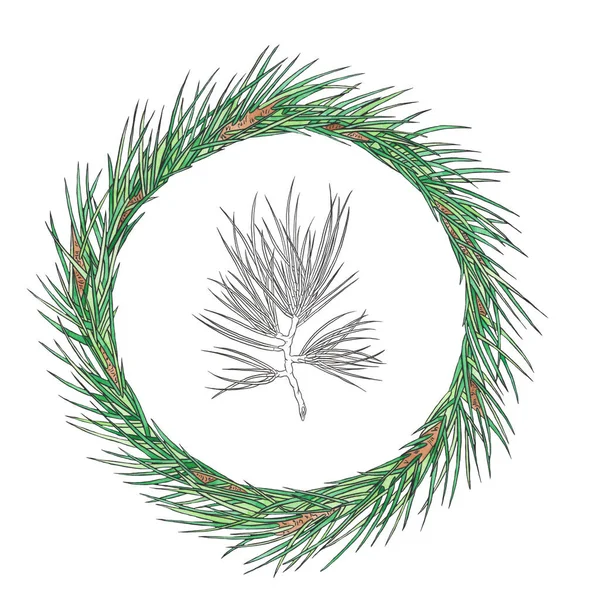 Couronne Noël Aquarelle Avec Une Branche Pin Illustration Nouvel Design — Photo