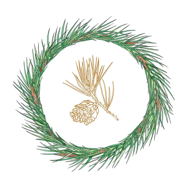 水彩画的圣诞花环 枝子上有一个锥形花圈 新年图解 假日设计 — 图库照片