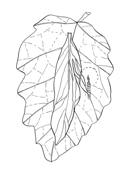 Decorative Cartoon Monochrome Live Leaf Ink Hand Drawing Illustration Tree — Stock Photo, Image