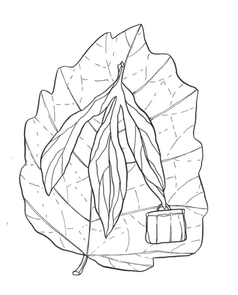 Decorative Cartoon Monochrome Live Leaf Ink Hand Drawing Illustration Tree — Stock Photo, Image