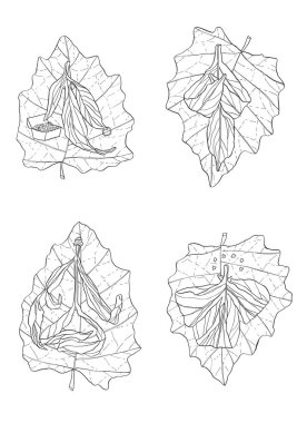 Dekoratif karikatür monokrom canlı yaprak Mürekkep el ağaç dalı ile çizim