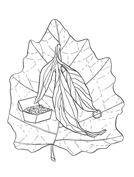 Декоративная Карикатура Monochrome Live Leaf Рисунок Ручной Работы Веткой Дерева — стоковое фото