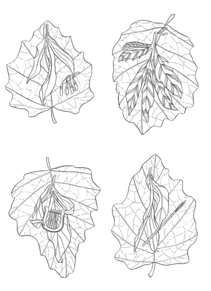 Dekoracyjna Kreskówka Monochromatyczny Żywy Liść Tusz Ręka Rysunek Ilustracja Drzewo — Zdjęcie stockowe