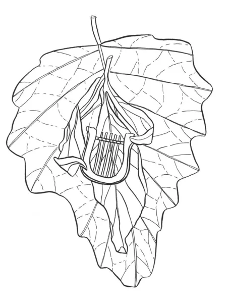 Декоративная Карикатура Monochrome Live Leaf Рисунок Ручной Работы Веткой Дерева — стоковое фото