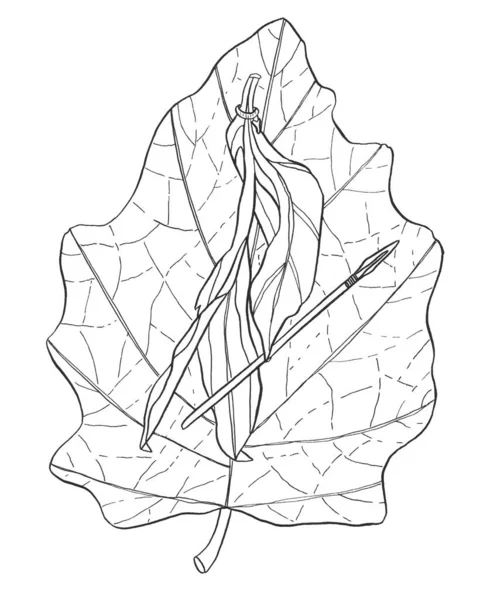 Dekoratif Karikatür Monokrom Canlı Yaprak Mürekkep Ağaç Dalı Mızrakla Çizim — Stok fotoğraf