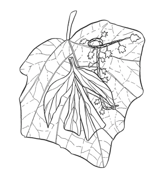 Декоративная Карикатура Monochrome Live Leaf Рисунок Ручной Работы Веткой Дерева — стоковое фото