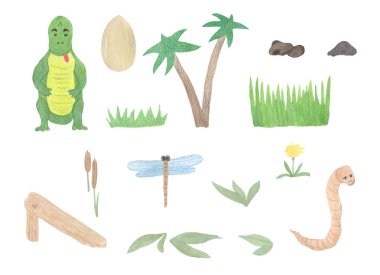 Şirin dinozorlar timsah derlemesi yumurta, yusufçuk, solucan, palmiye ve çimen içeren suluboya resimler, beyaz bir arka planda el boyaması.