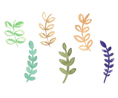 Suluboya Yapraklı Clipart çiçek dalları. Tasarımınız için dekoratif unsurlar yapraklar, girdaplar, çiçekler..