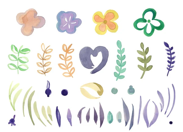 Akwarela Clipart Zestaw Małymi Elementami Kwiatowymi Gałęzią Trawą Liśćmi Elementy — Zdjęcie stockowe