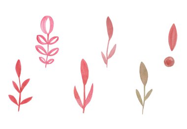 Suluboya Yapraklı Clipart çiçek dalları. Tasarımınız için dekoratif unsurlar yapraklar, girdaplar, çiçekler..