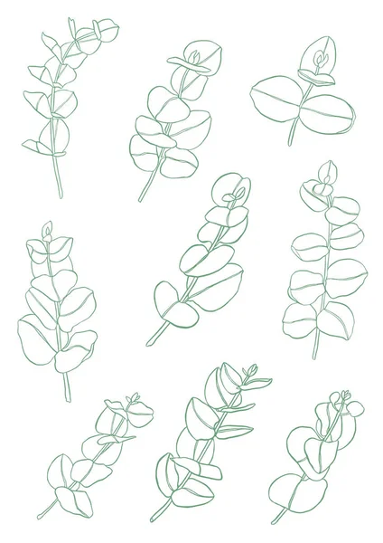 Serie Verde Ramo Foglie Eucalipto Elementi Design Floreale Floristica Illustrazione — Foto Stock