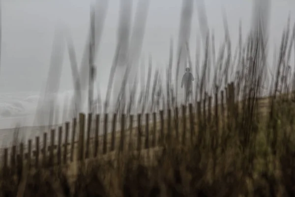 Menschen am nebligen Strand — Stockfoto