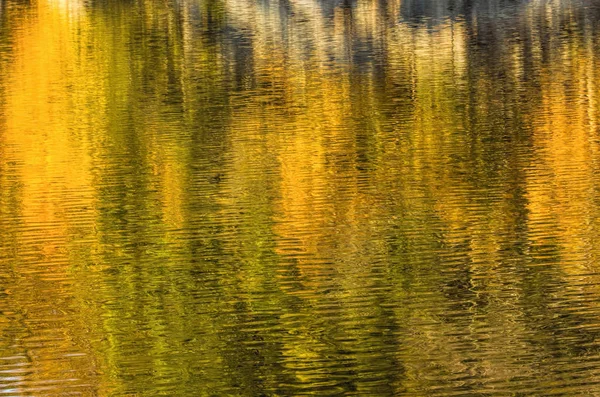 Πολύχρωμο φθινόπωρο φύλλωμα που καθρεφτίζονται στο νερό — Φωτογραφία Αρχείου