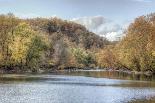 Nehir üzerinde renkli sonbahar yaprakları