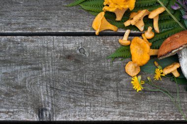 Cantharellus cibarius ile sonbahar kompozisyon