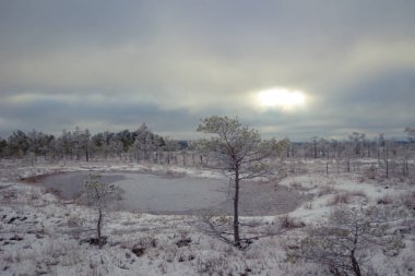 Bataklık kış günü.