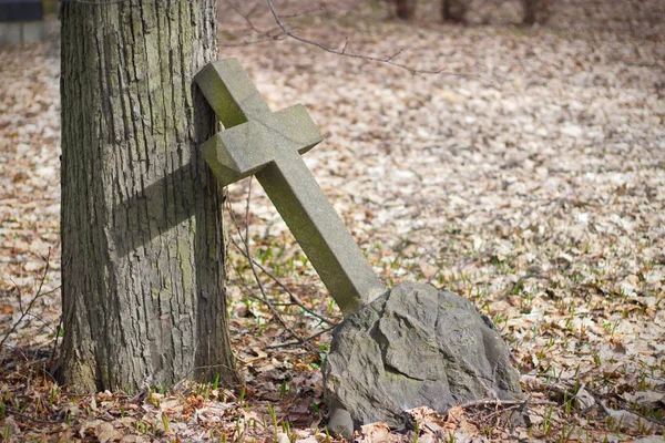 Old graves at historic cemetery, Riga — Stock Photo, Image