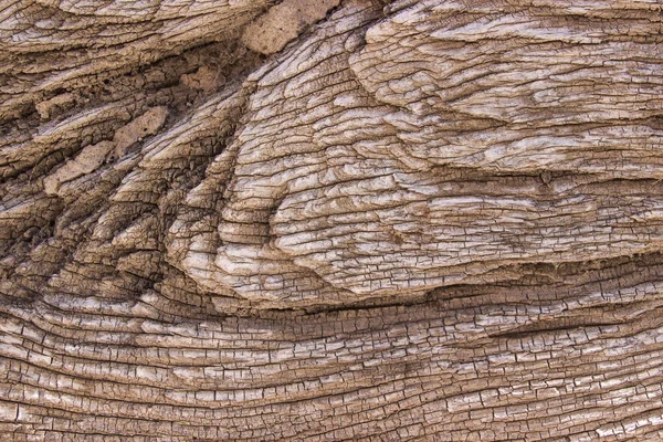 Textura de madera. Patrón de fondo de madera —  Fotos de Stock