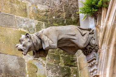 Carcassonne Katedrali duvardan akıtmayın işlev, gargoyles çıkıntı