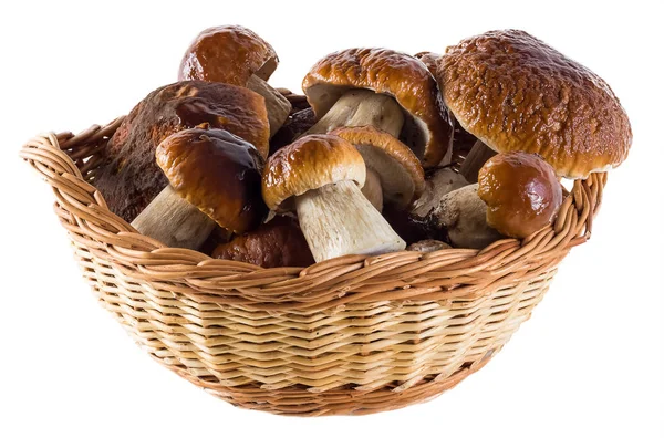 Doğal büyük beyaz mantar izole dan güzel bir natürmort