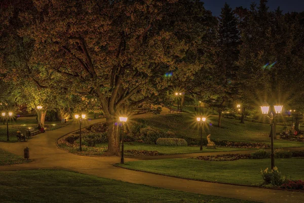 Gece, Letonya Riga'da Merkezi kamu Park sonbahar.