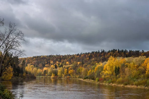 Röda och gula träd på hösten i Sigulda — Stockfoto