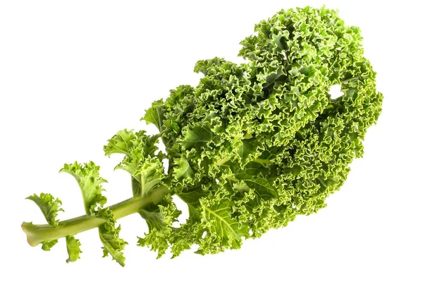 Kale Leafy Vegetable Closeup White Background — Stock Photo, Image