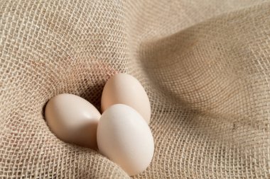 Üç tavuk yumurta bir keten çuval bezi doğal ekonomi tarihinde