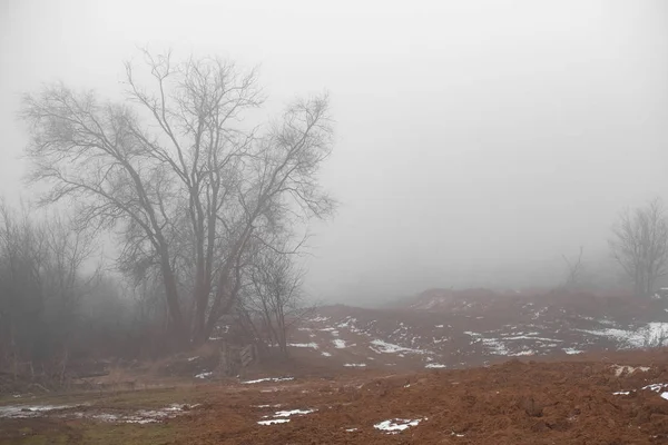 Iglesia Rusa Niebla Invierno Árboles Nieve Heladas Mamaev Kurgan Volgogrado —  Fotos de Stock