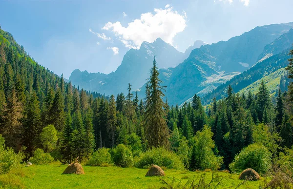 Mountain Klyfta Med Äng Morgonen Grönt Gräs Och Blommor Omgiven — Stockfoto