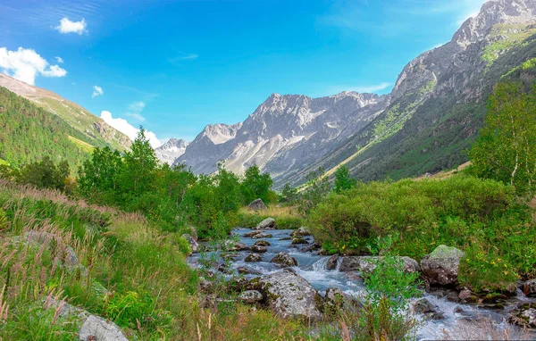 dağ gorge yeşil çim ve çiçek dağ nehir ile yaz aylarında Dağ doruklarına tarafından çevrili, sabahleyin bir çayır ile