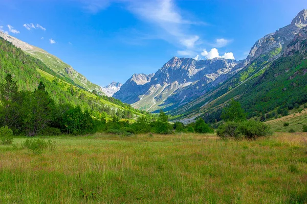 Desfiladero Montaña Con Prado Por Mañana Hierba Verde Flores Rodeadas —  Fotos de Stock