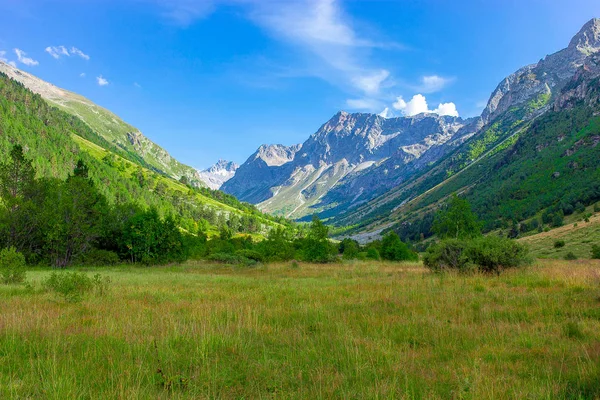 Rét Reggeli Zöld Virágok Körül Hegycsúcsai Nyáron Hegyi Gorge — Stock Fotó