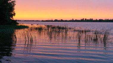 su yüzeyi ile büyüyen bir çim ekran koruyucu spa arka plan günbatımı de akşam