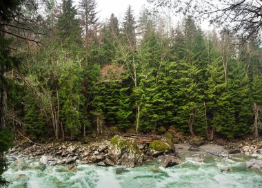 şelaleler ve dağ nehir rapids, erken ilkbaharda dağlık iğne yapraklı ormanlarla çevrili kayalar streams saf nehir suyu akışı