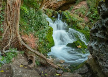 temiz su, Isichenko şelale Mezmay, Adıge, baharda genç yeşil çim çevrili Caucasus Streams
