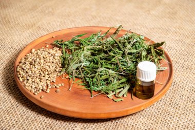 Kurumuş kenevir yaprakları ve kenevir tohumları kaba bir çuval bezi arka planında, ahşap bir tabakta