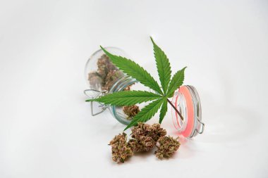 Olgun kenevir tomurcukları beyaz arka planda marihuana yapraklarının yanındaki cam kavanozdan yayılmış.