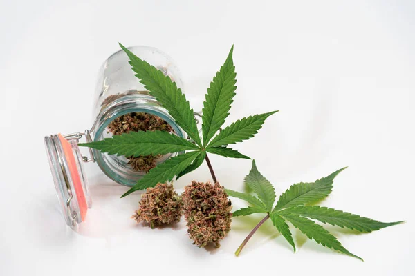 Érett Cannabis Bimbók Szétszórva Egy Üveg Üveg Mellett Marihuána Levelek — Stock Fotó