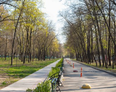 Rostov-on-Don 'da ağaçlarla çevrili bir şehir parkında yol ve kaldırım