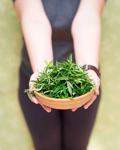 Gesneden Verse Groene Cannabisbladeren Een Houten Plaat Een Lichte Ondergrond — Stockfoto