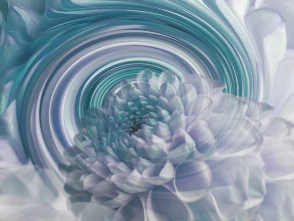 dahlia white-turquoise flower on the background of rainbow spiral. floral composition. floral background.  Nature.