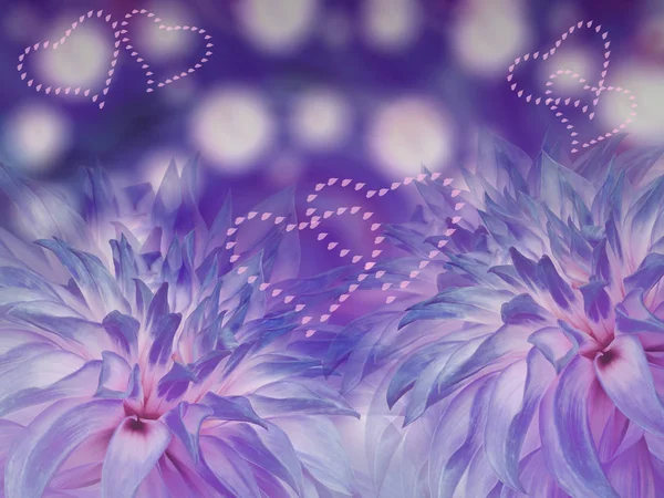 Blue dahlias flowers. blurred violet-blue background.  Bright floral composition. card for the holiday. Loving heart. Nature. — Stock Photo, Image