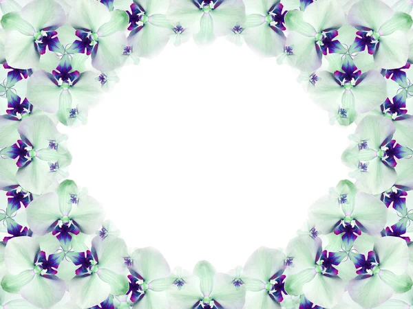 frame of flowers. blue-green-white flowers are gathered in a circle on a white background. for design. Card for the holiday. Nature.