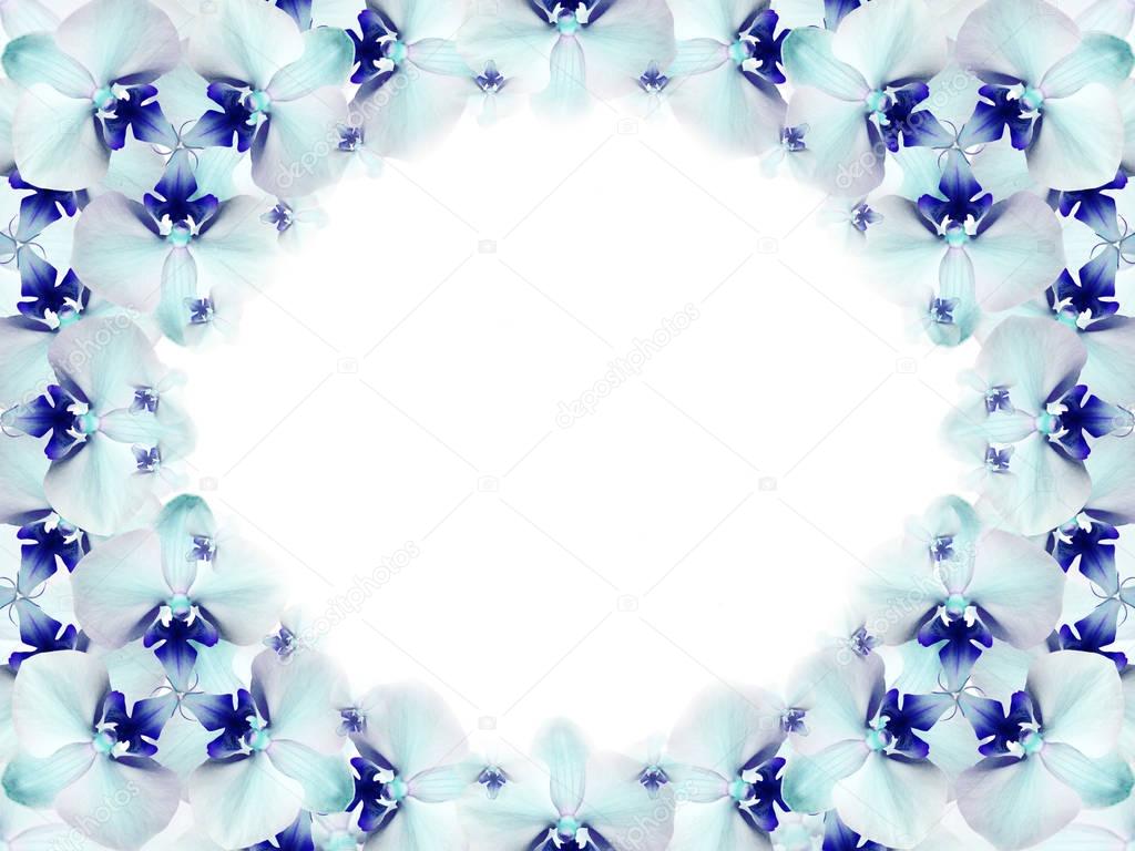 frame of flowers. turquoise blue and white flowers gathered in a circle on a white background. for design. Card for the holiday. Nature